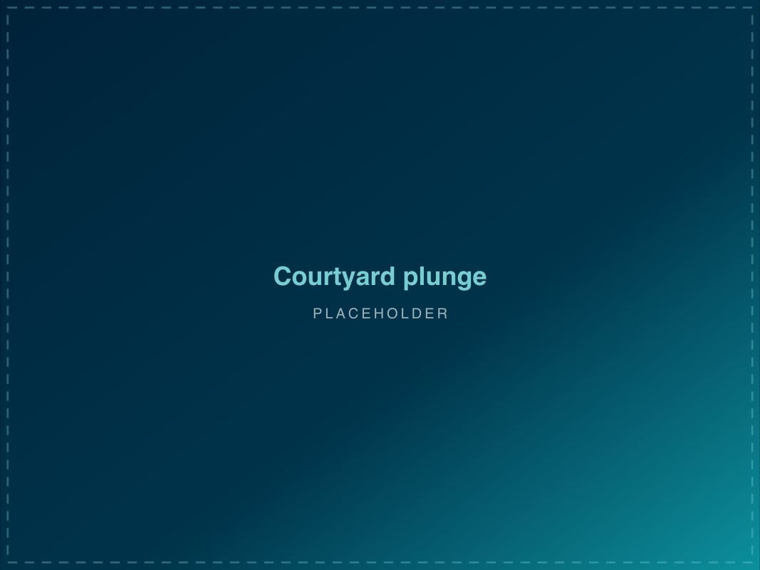 Courtyard Plunge — custom pool project